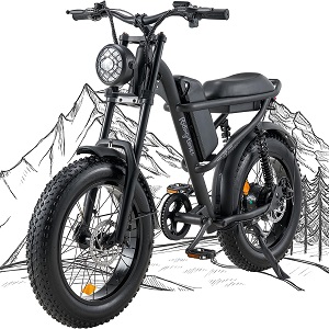 best e bikes under $1500